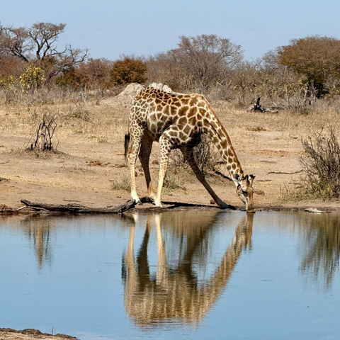 620 pixels placeholder image